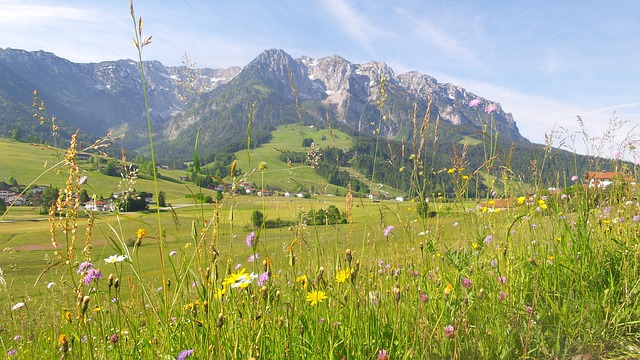 Free Mountain Meadow Spring photo and picture