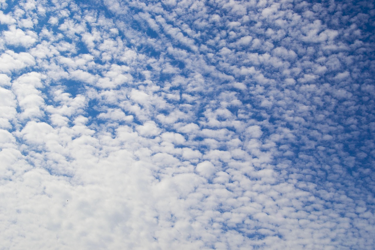 Fluffy Sky Blue - Free photo on Pixabay - Pixabay