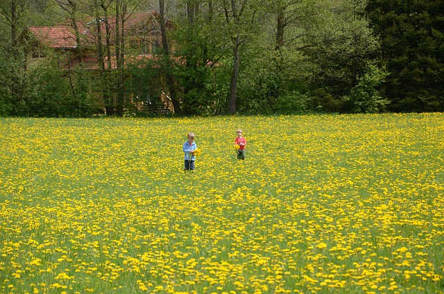 Free Children Meadow photo and picture
