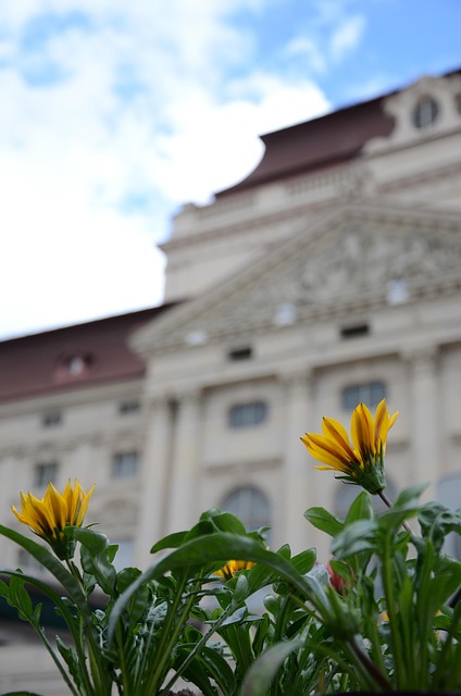 Free Opera Graz photo and picture