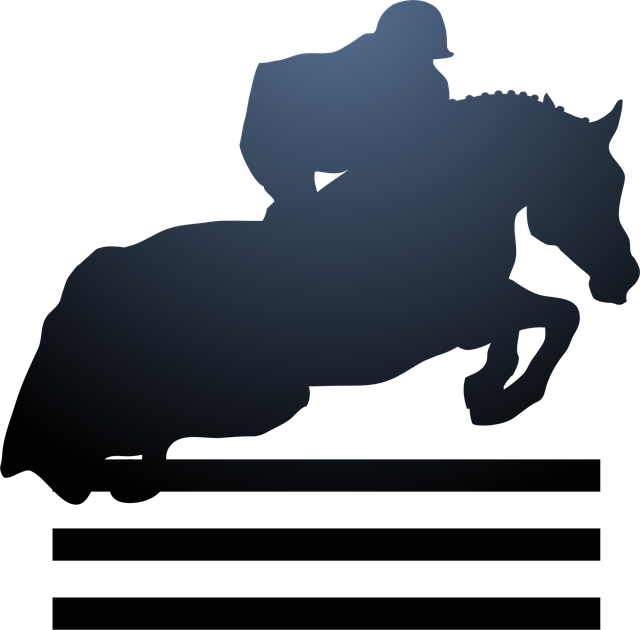 Free sport horse riding horse vector