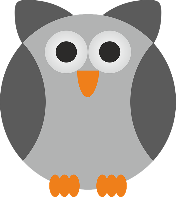 Free owl bird wild illustration