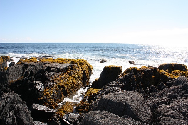 Free Ocean Rocks photo and picture