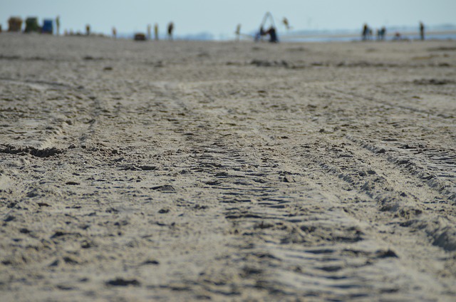 Free Track Imprint photo and picture