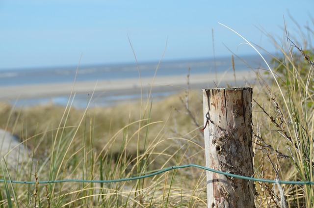 Free Stake Dune photo and picture