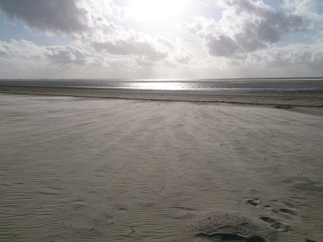 Free Beach Sand photo and picture