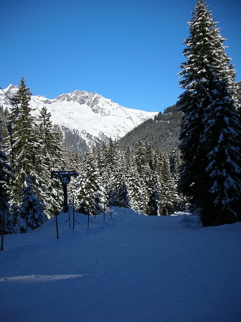 Free Skiing Backcountry Skiiing photo and picture