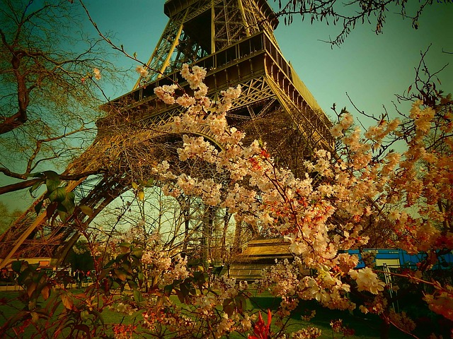Free Eiffel Tower Paris photo and picture
