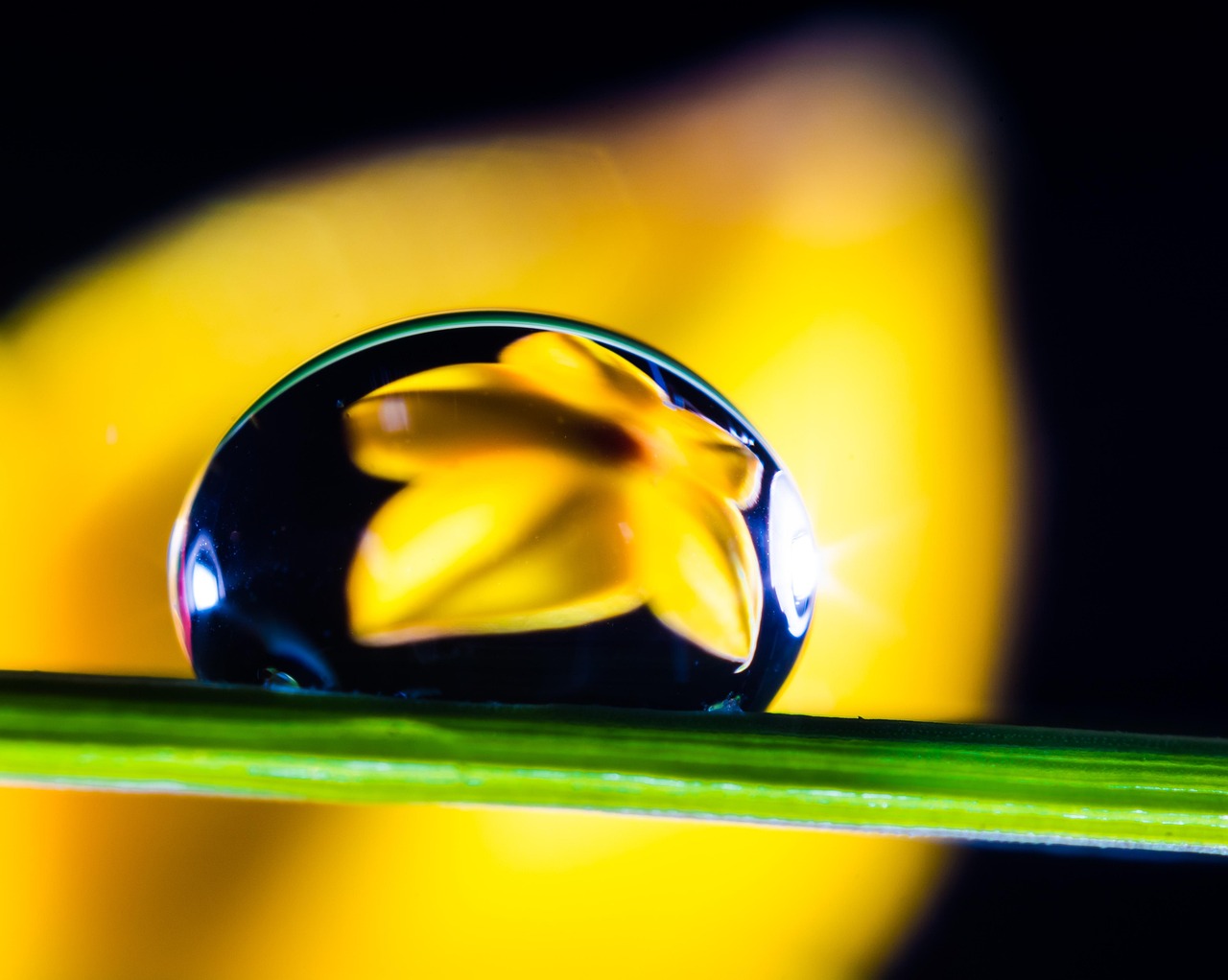 Waterdrop Drops Blade Of Grass - Free photo on Pixabay - Pixabay