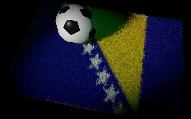 World Cup, Fodbold, Bosnien-Hercegovina
