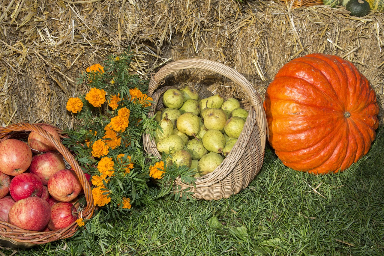 Thanksgiving - free online jigsaw puzzle photo