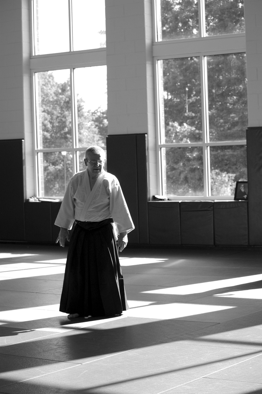 30+ Free Aikido & Karate Images Pixabay