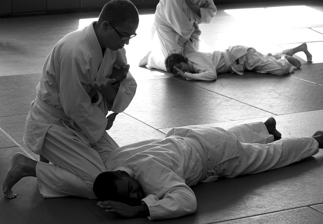 Free Aikido Martial Arts photo and picture