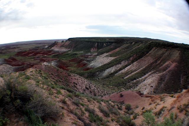 Free Painted Desert Landscape photo and picture