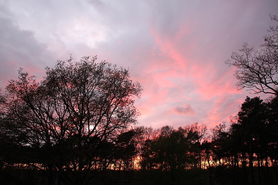 傍晚的天空 日落 余辉 - Pixabay上的免费照片 - Pixabay