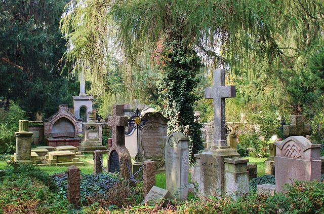 Free Graveyard Graves photo and picture