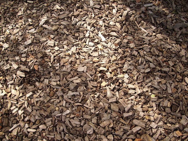 Free Wood Chips Tree Bark photo and picture
