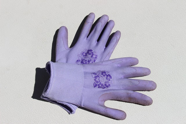 Free Gardening Gloves Purple photo and picture
