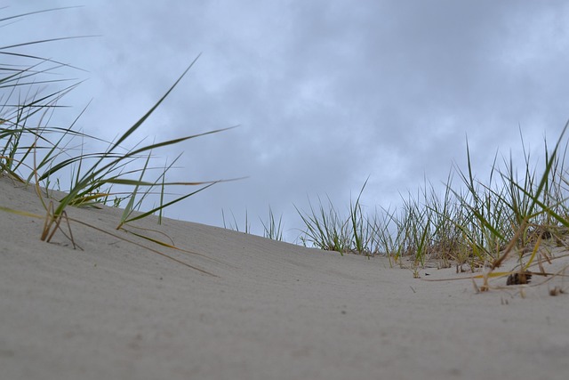 Free Sand Dunes Beach photo and picture