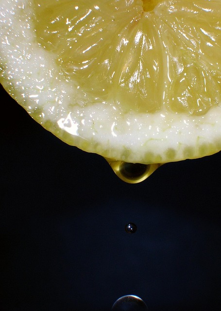 Free Lemon Fruit photo and picture