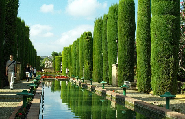 Lagoa, Córdoba, Água, Vegetação, Verde