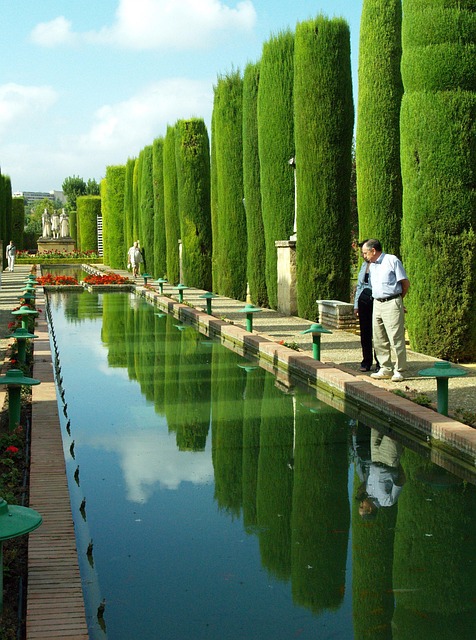 Córdoba, Lagoa, Água, Vegetação, Arvores