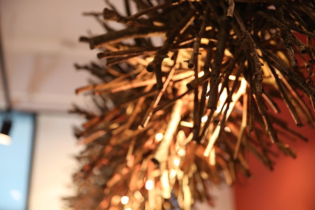 Baum, Licht, Cafe