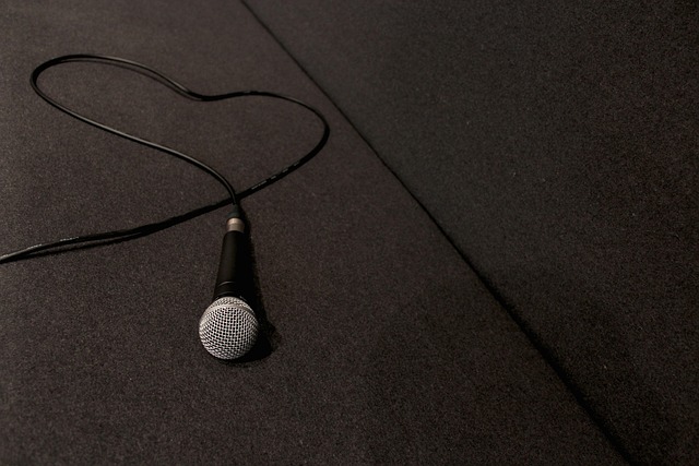 Mic, Herz, Musik