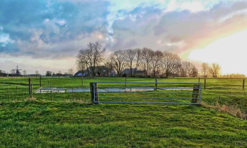 Nederland Boerderij Platteland Gratis Foto Op Pixabay Nederland Boerderij Platteland Gratis Foto Op Pixabay