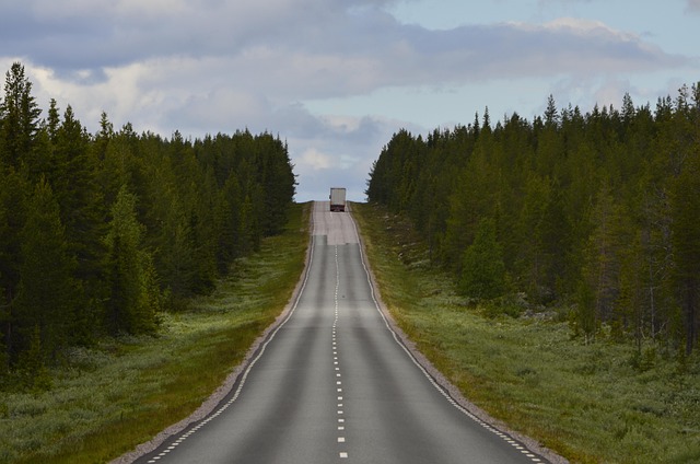 Free Road Truck photo and picture