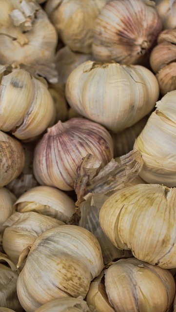 Free Garlic Whole photo and picture