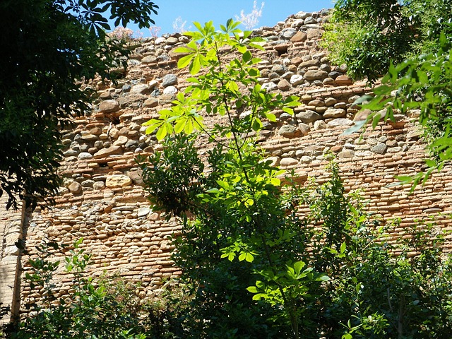 Free Architecture Rammed Earth photo and picture