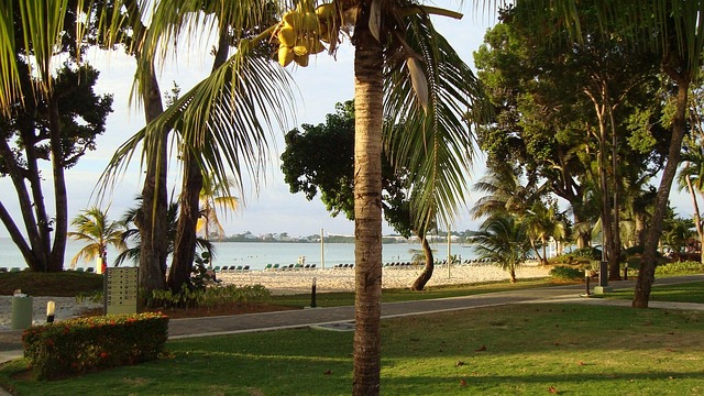 Free Tropical Resort photo and picture
