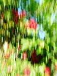 photo art, filter, movement