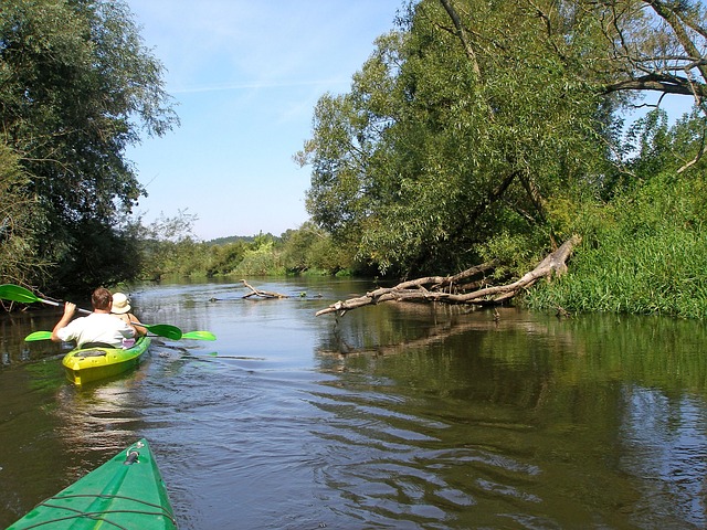 Burlón, Río, Kayaks, Flujo, Polonia