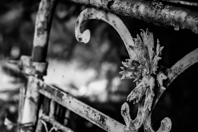Free Gate Iron photo and picture