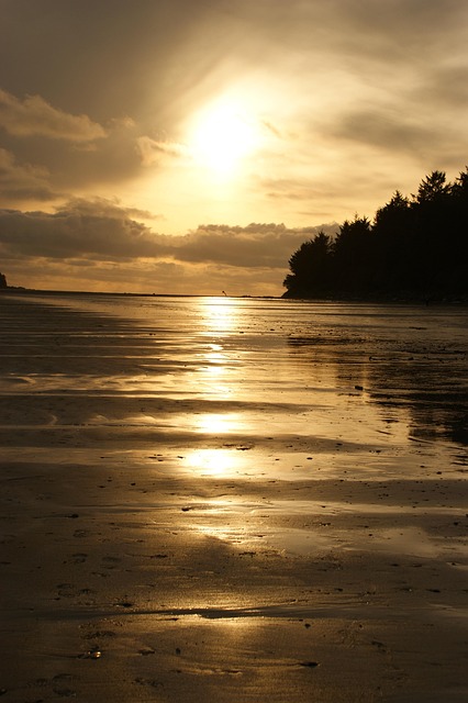 Free Sunset Ocean photo and picture