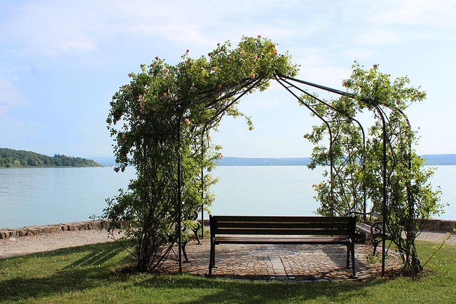 Pavillon, Sø, Roser, Vand, Solrig