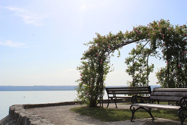 Pavillon, Sø, Bank, Roser
