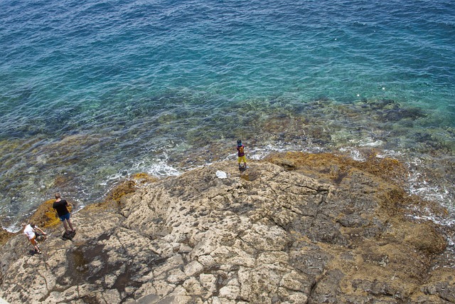 Free The Coast Ocean photo and picture
