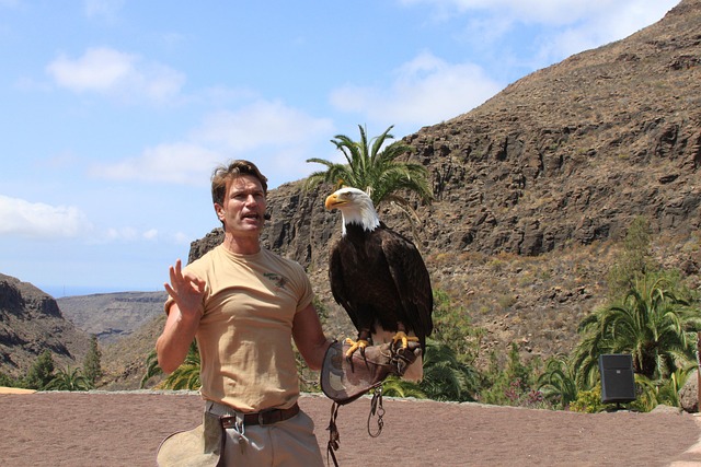 Free Eagle Bird photo and picture