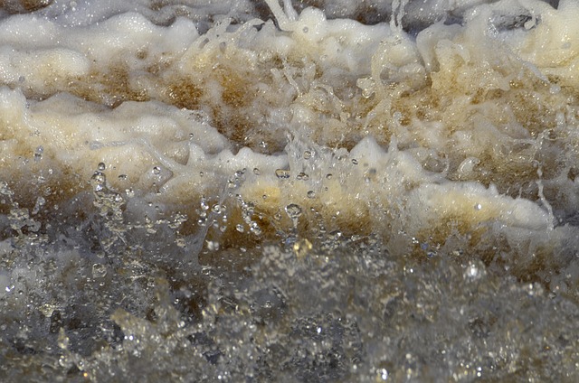Free Water Rapids photo and picture