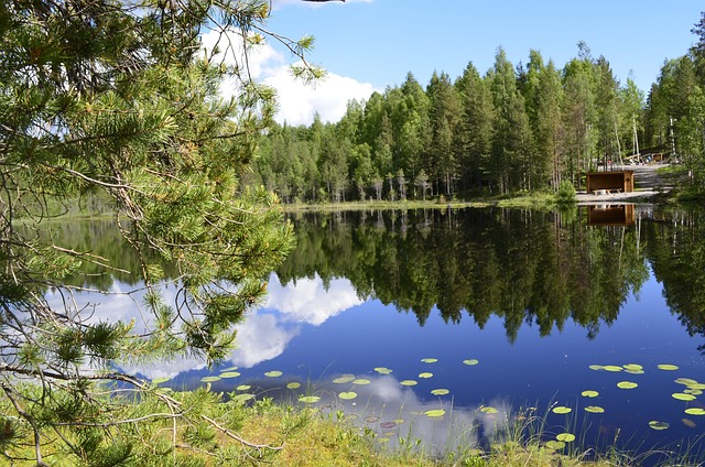 Free Summer Lake photo and picture