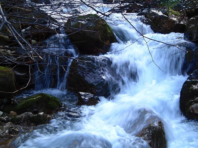 Free Stream Nature photo and picture