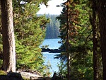waldo lake, lake, trees