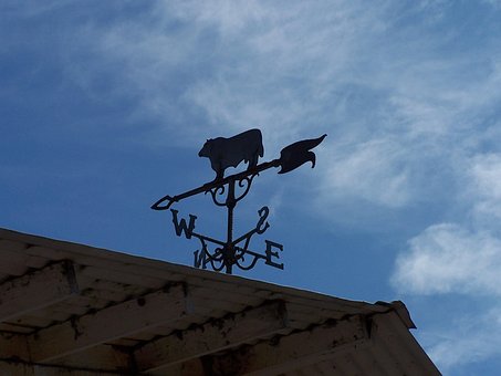 Free Weather Vane Sky photo and picture