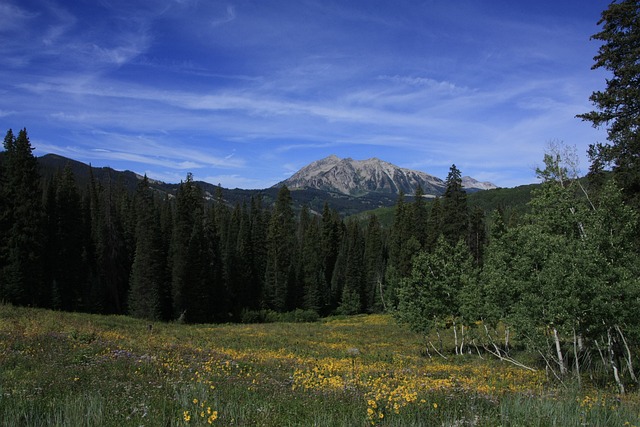 Free Mountains Colorado photo and picture
