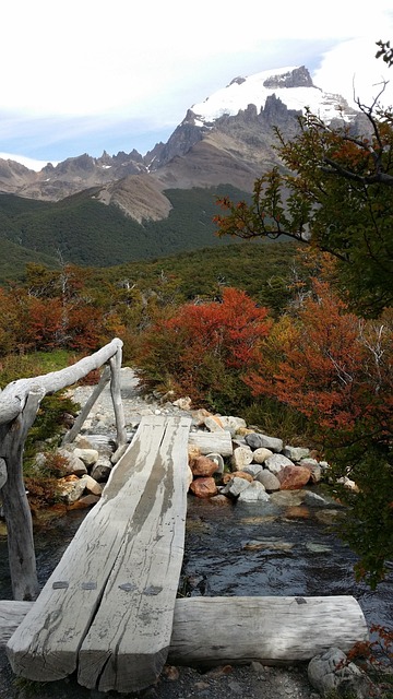 Free Wooden Bridge Icecap photo and picture