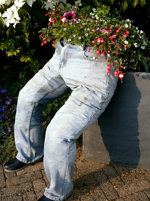 Free Trousers Jeans photo and picture