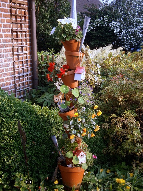 Free Flower Pots Plants photo and picture